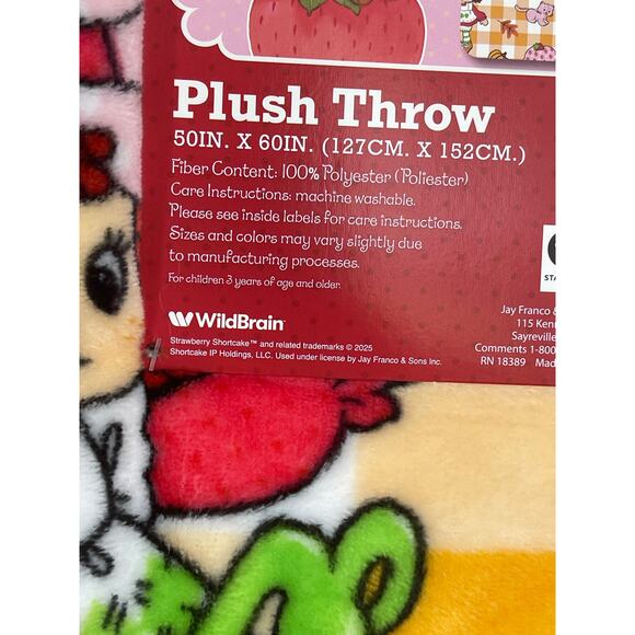 Strawberry Shortcake Plaid Plush Throw Blanket Plaid 50 x 60 Soft Cozy NEW Fall - Picture 6 of 7